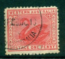 WA 1905-11 1d Red Swan Typo Perf 12.5 Wmk Crown A FU Lot28366 - Used Stamps