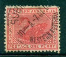 WA 1905-11 1d Red Swan Typo Perf 12.5 Wmk Crown A FU Lot28368 - Used Stamps