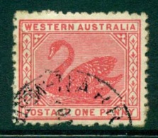 WA 1905-11 1d Red Swan Typo Perf 12.5 Wmk Crown A FU Lot28369 - Used Stamps