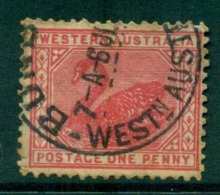WA 1905-11 1d Red Swan Typo Perf 12.5 Wmk Crown A FU Lot28372 - Used Stamps