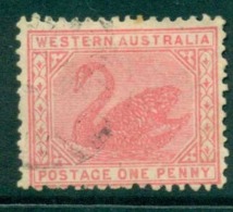 WA 1905-11 1d Red Swan Typo Perf 12.5 Wmk Crown A FU Lot28375 - Used Stamps