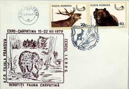 1979 , RUMANIA , SOBRE CON MATASELLOS ESPECIAL , EXPO. FILATÉLICA BUSTENI , CAZA , MAMÍFEROS , OSOS , CIERVOS - Covers & Documents