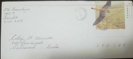 O) 1993 CANADA, BIRD- FALCONIDAE -AMERICAN KASTREL, POSTAL STATIONERY XF - 1953-.... Reign Of Elizabeth II