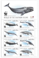 South Africa 1999 WWF Whale Sheet MNH - Ungebraucht
