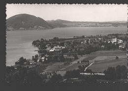 Weyregg Am Attersee - Ortansicht / Panorama - 1953 - Attersee-Orte