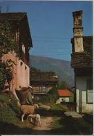 Il Ticino Pittoresco - Leontica (Val Blenio) - Photo: Engelberger - Blenio