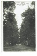 CPA - Carte Postale -BELGIQUE -Camp De Beverloo- Allée Des Soupirs  S 2398 - Beringen