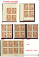 ARGENTINA: VARIETIES OF THE EVA PERÓN ISSUE: 17 Album Pages Of A Specialized Collection, Including 75 Blocks Of 4 Or Lar - Oblitérés