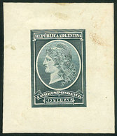 ARGENTINA: GJ.35/40, Año 1901, DIE PROOF Of The Adopted Design, Groundwork Of Crossed Lines, Printed By Cia. Sudamerican - Dienstzegels