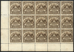 CHILE: Yvert 4, Block Of 15 Stamps, MNH, Excellent Quality! - Cile