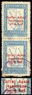 PARAGUAY: Sc.C5, Vertical Pair, The Lower Stamp With DOUBLE OVERPRINT Variety, VF Quality, Very Rare! - Paraguay