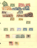 EL SALVADOR: Stock Of Stamps Of Varied Periods, MANY HUNDREDS, On Stockpages, Very Fine General Quality. It Includes Som - El Salvador