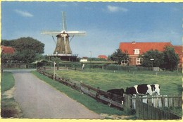 OLANDA - NEDERLAND - Paesi Bassi - Holland - 1969 - 20c - Terschelling - Molen Te Formerum - Dutch Windmill - Viaggiata - Terschelling