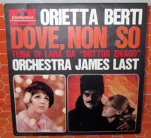 ORIETTA BERTI DOVE NON SO   AUCUN VINYLE - COVER -  NO VINYL - Accessories & Sleeves