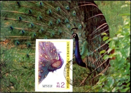 BIRDS-PHEASANTS & PEACOCKS- IMPERF STAMP- MASSIVE ERROR- MISSING LEGS- SOUVENIR CARD- INDIA- INDIA-1983- MC-92 - Peacocks