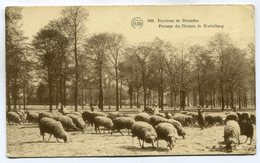 CPA - Carte Postale - Belgique - Koekelberg - Paysage Du Plateau De Koekelberg ( SV5741) - Koekelberg