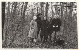 Moldova - Bessarabia - Romania - Padurea - Forest - Foto 110x80mm - Moldavia