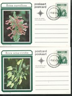 Postkarte - RAS - Südafrika  2. Postkarten   Blumen - Lettres & Documents