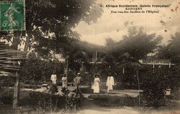 GUINEE KONAKRY UNE VUE DES JARDINS DE L'HOPITAL - Guinea Francesa