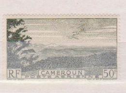 CAMEROUN     N°  YVERT  :  PA 38    NEUF AVEC  CHARNIERES      (  CH 36  ) - Aéreo