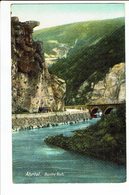 CPA - Carte Postale -Allemagne - Ahrtal - Bunte Kuh- 1913- S 2435 - Euskirchen