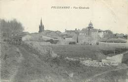 PELISSANNE - Vue Générale. - Pelissanne