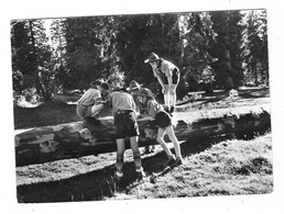 FRANCHES MONTAGNES (Suisse) Cpsm  5ème Camp National Des éclaireurs SCOUTISME 1956 - Otros & Sin Clasificación