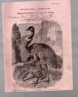 Cahier D'écolier Avec Couverture Illustrée : Histoire Naturelle N°112 Le Casoar (PPP9433) - Animals