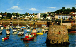 PEMBROKESHIRE - SAUNDERSFOOT - THE HARBOUR  Dyf219 - Pembrokeshire