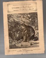 Cahier D'écolier Avec Couverture Illustrée : Histoire Naturelle N°171 Le Renard  (PPP9435) - Tiere