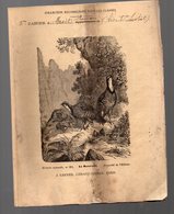 Cahier D'écolier Avec Couverture Illustrée : Hstoire Naturelle N°265 La Bartavelle  (PPP9439) - Animaux