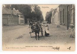 Capellen   Inkoom Va 't Dorp - L'Entrée Du Village  N.942 F.Hoelen  1903 - Kapellen