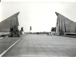 GERMANY - ALLEMAGNE - EX DDR - BERLIN TREPTOW - Photo 11 X 15 Cm - Mémorial Soldats Soviétiques - Brandenburg