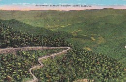 North Carolina Craggy Gardens Highway Near Asheville - Asheville