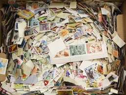 WORLD STAMPS (6kg) Off Paper - Mixture In A Carton. - Andere & Zonder Classificatie