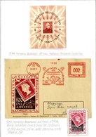 PHILATELIC EXHIBITIONS Collection Of Labels Mounted Up On Leaves In Protectors Mainly European Pre-WWII, A Few USA, Also - Other & Unclassified