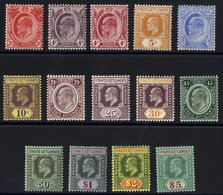 1906-12 MCCA 4c To $5 Complete (excl. 4c Red), Fine M, SG.154. (14) Cat. £325 - Sonstige & Ohne Zuordnung