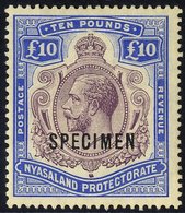 1913-21 MCCA £10 Purple & Dull Ultramarine, Optd SPECIMEN, Centred A Little To Left, Fine M, SG.99s, Cat. £700 - Altri & Non Classificati