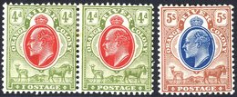 1903-04 5s Blue & Brown, Very Fresh M, SG.147, 1905-09 4d Scarlet & Sage Green Pair, One With 'IOSTAGE' For 'POSTAGE' M  - Autres & Non Classés