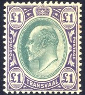 1903 CCA £1 Green & Violet, Fine M, SG.258. (1) Cat. £375 - Autres & Non Classés