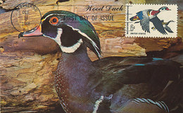 D35281 CARTE MAXIMUM CARD FD 1968 USA - AIX SPONSA WOOD DUCK CP ORIGINAL - Ducks