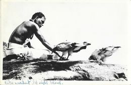 Asie (Inde, Pakistan?) - Prêtre Nourrissant Les Aigles Blancs - Carte-photo - Asie