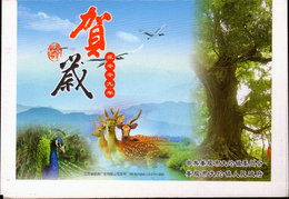 (18/2)   Peacowl Peacock Deer  ,  Prepaid Card  Postal Stationery - Paons