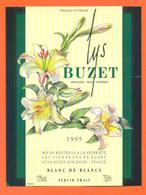 étiquette Vin De Buzet Cuvée Lys Blanc De Blancs 1995 Les Vignerons à Buzet Sur Baise - 75 Cl - Fiori