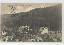 Allemagne Germany - Bade Wurtemberg - Triberg Blick Auf Das Schwarzwald Hotel 1912 - Triberg