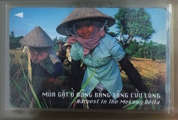 Vietnam Viet Nam Used Magnetic Phone Card / Phonecard : Rice Field - RARE - Vietnam