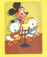 Postcard - Disney    (V 33325) - Disneyland