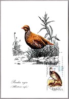 PERDIZ ROJA - Alectoris Rufa. Tarjeta Maxima - Maximum Card. Madrid 1971 - Grey Partridge