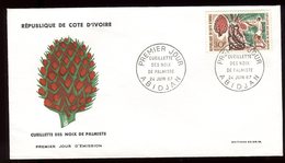 Côte D'Ivoire - Enveloppe FDC 1967 - Cueillette Des Noix - O 128 - Ivory Coast (1960-...)