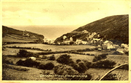 CARDIGANSHIRE - LLANGRANOG - GENERAL VIEW  Dyf281 - Cardiganshire